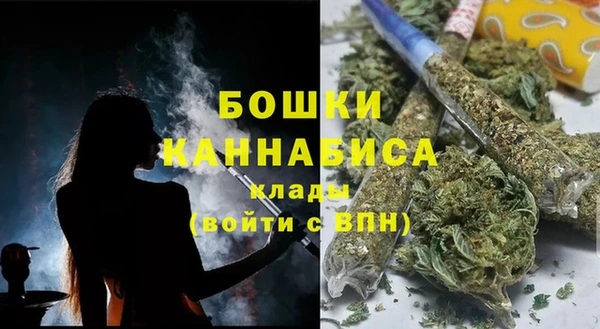 экстази Бородино