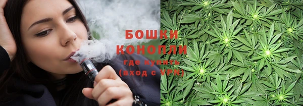 стаф Бронницы